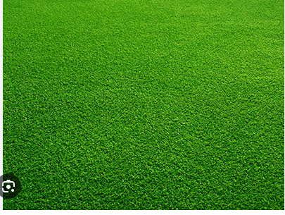 New Turf
