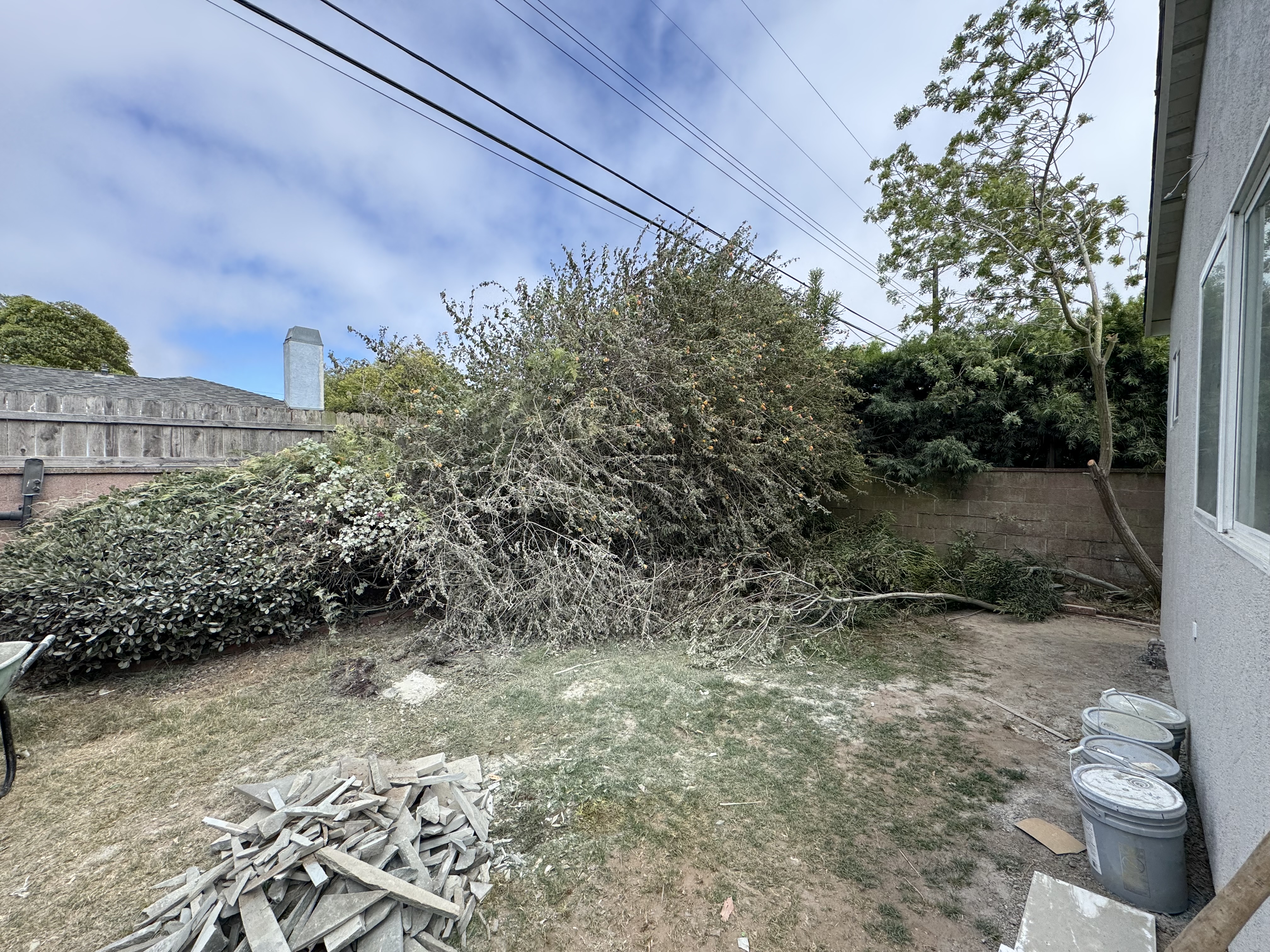 Flagstone steps and backyard