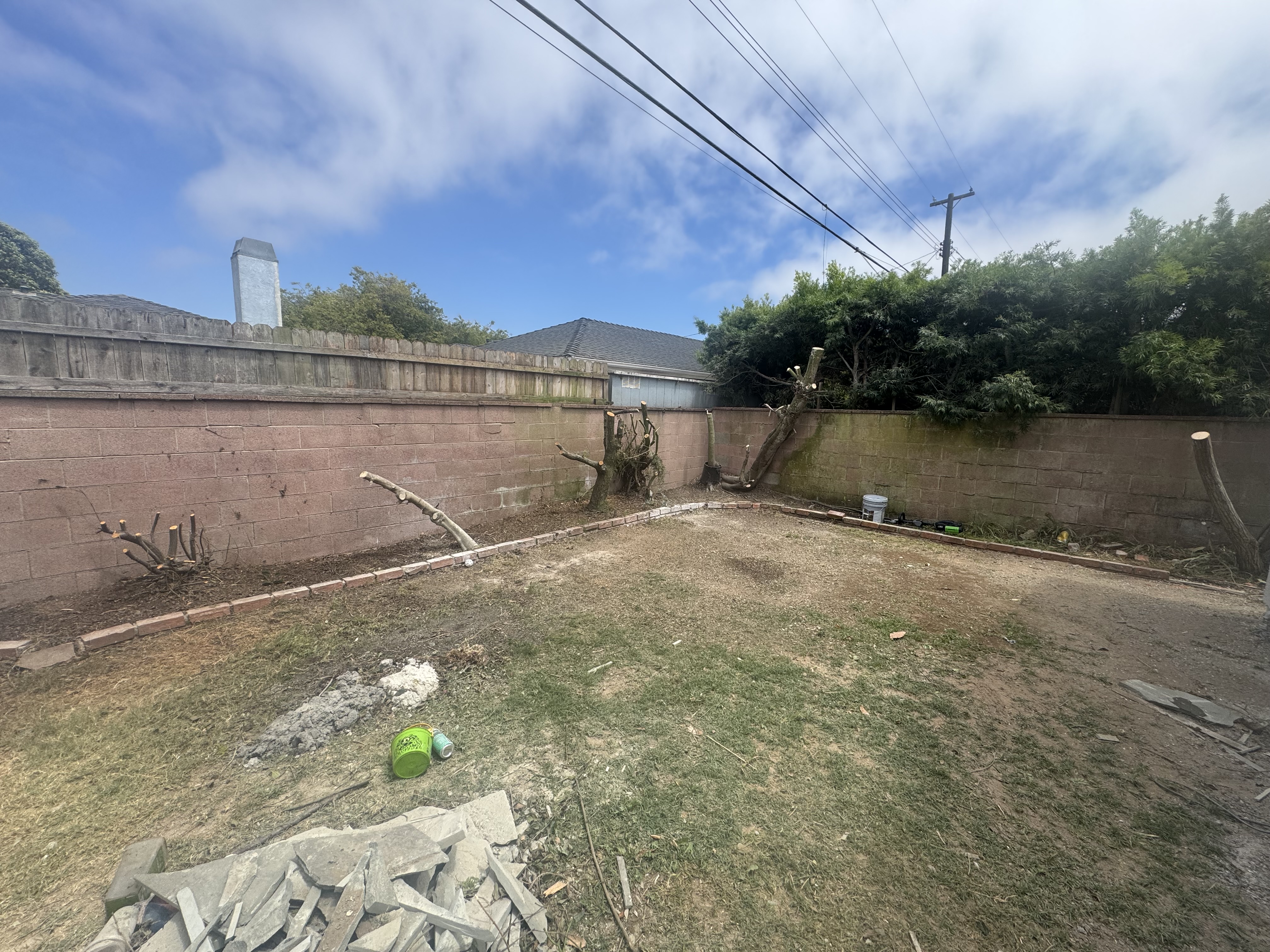 Flagstone steps and backyard