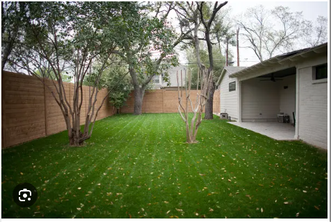 New Grass